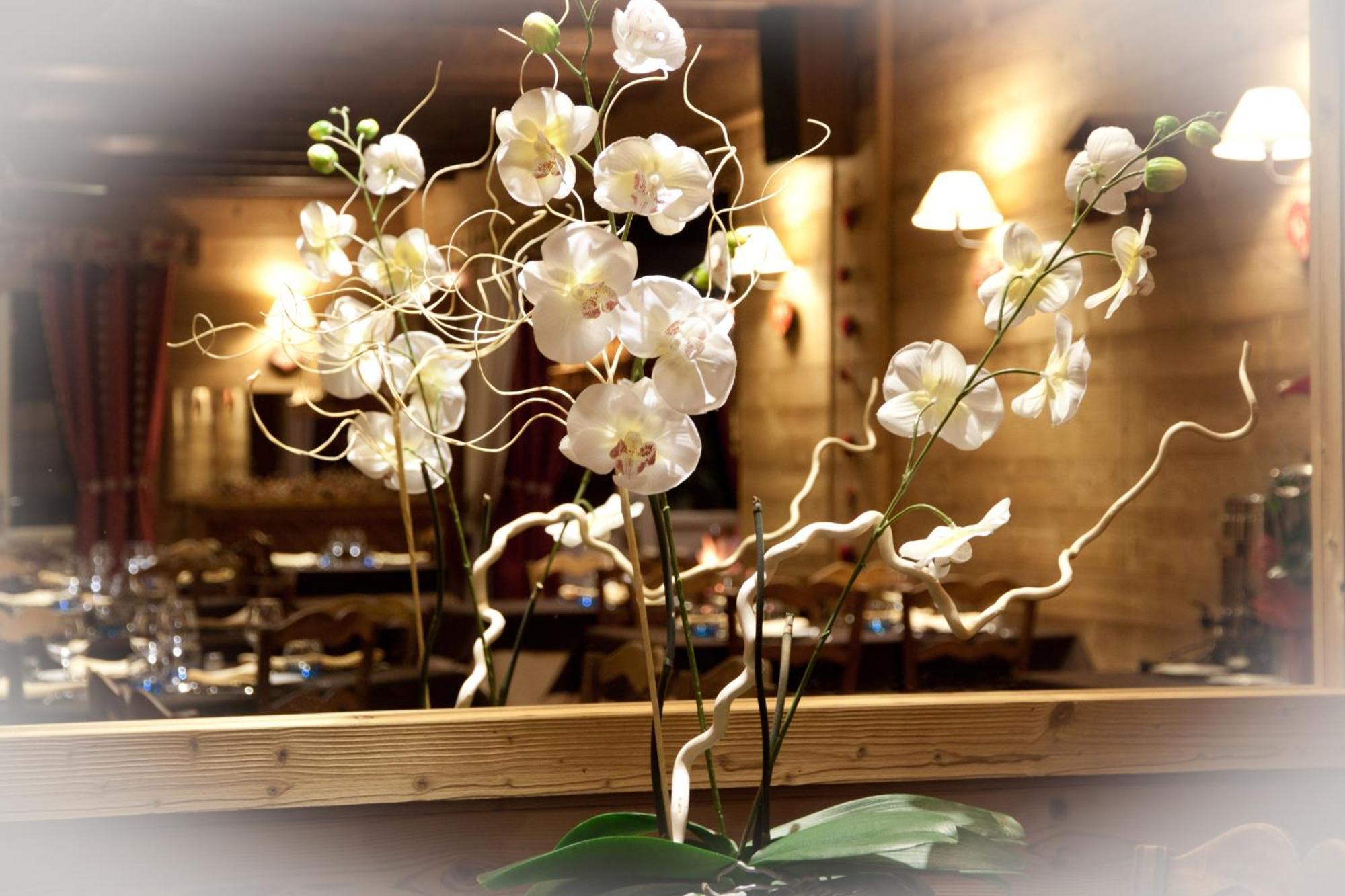 Hotel - Restaurant - Bar - Le Sapin Fleuri Bourg-dʼOueil 外观 照片
