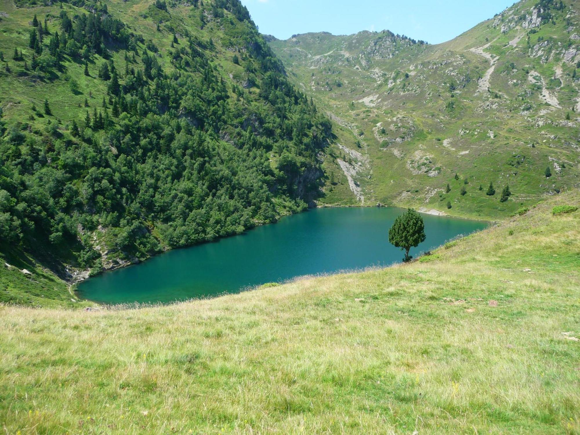 Hotel - Restaurant - Bar - Le Sapin Fleuri Bourg-dʼOueil 外观 照片